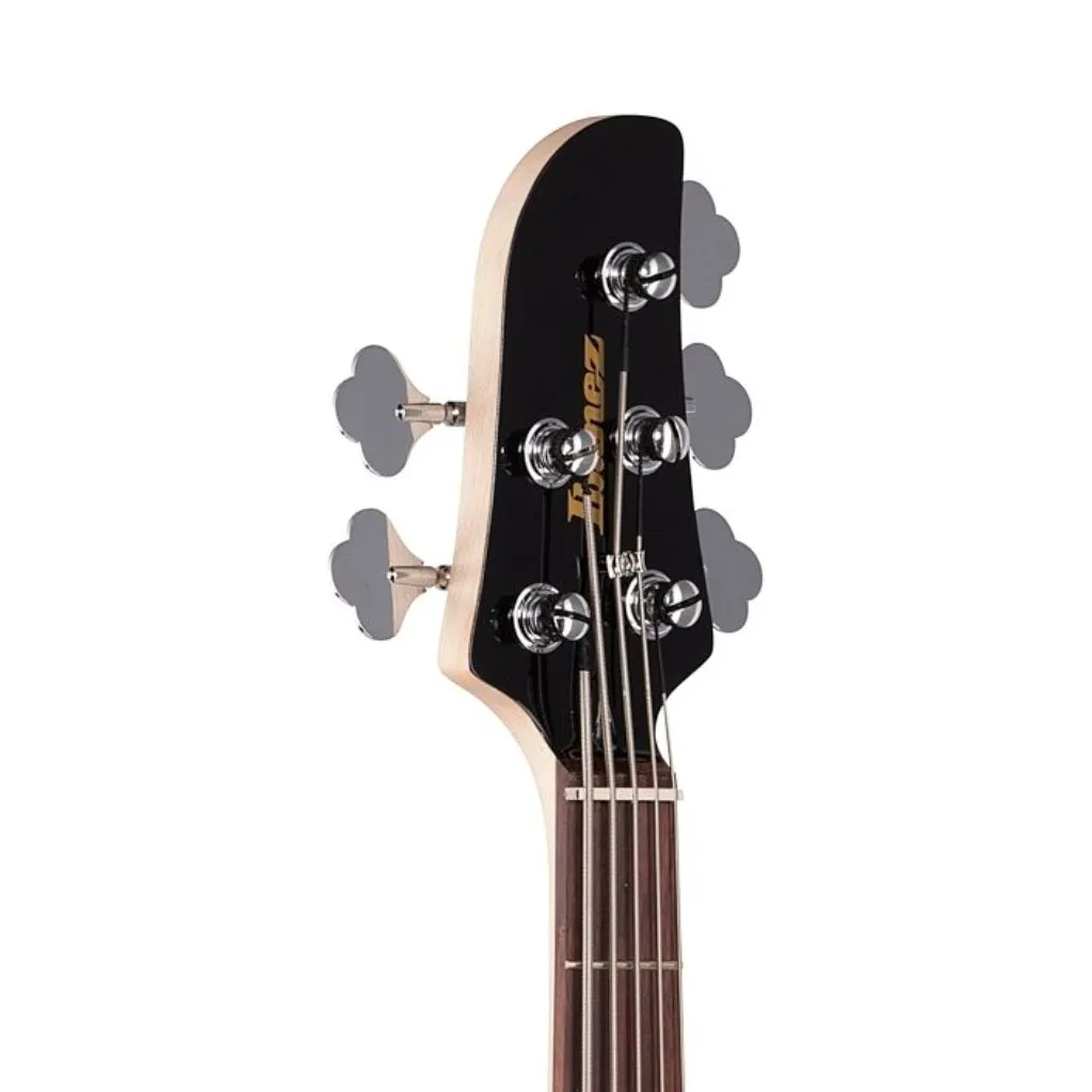 Ibanez TMB105BK Talman 5 String Electric Bass Guitar Black