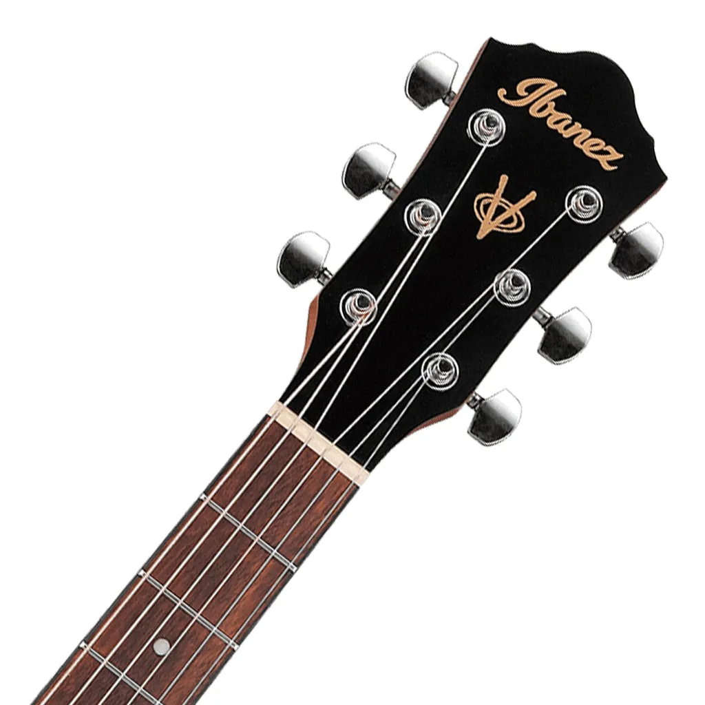 Ibanez V40 OPN Acoustic Guitar