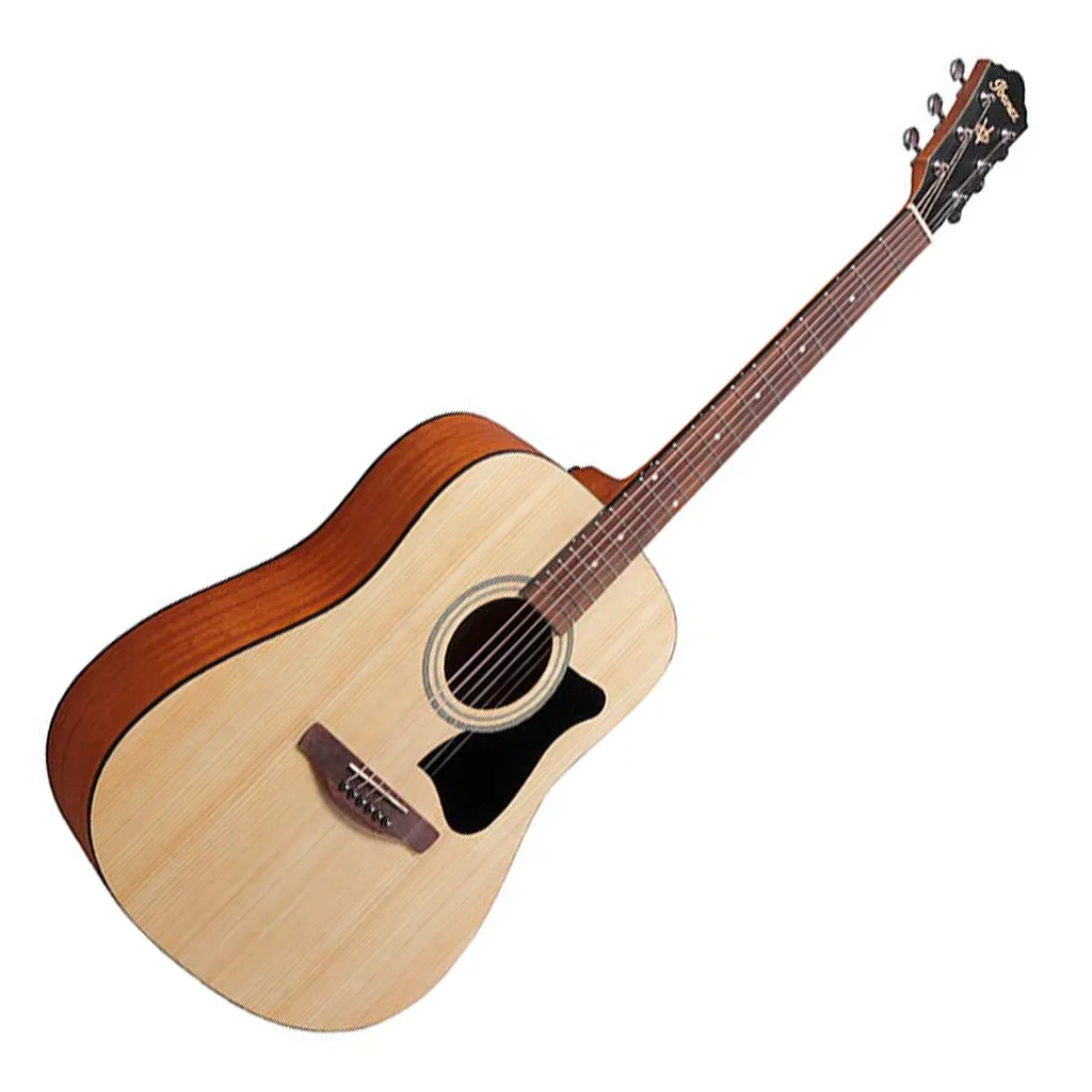 Ibanez V40 OPN Acoustic Guitar