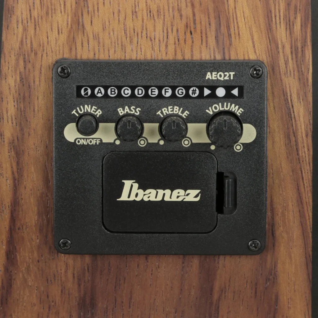 Ibanez V40WSCE Acoustic Guitar - Open Pore Brown