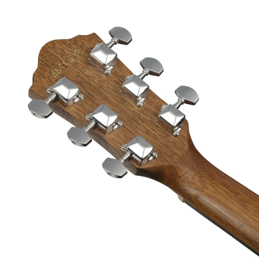 Ibanez V40WSCE Acoustic Guitar - Open Pore Brown