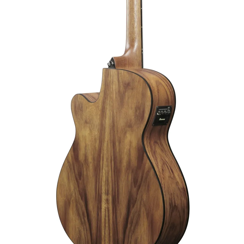Ibanez V40WSCE Acoustic Guitar - Open Pore Brown