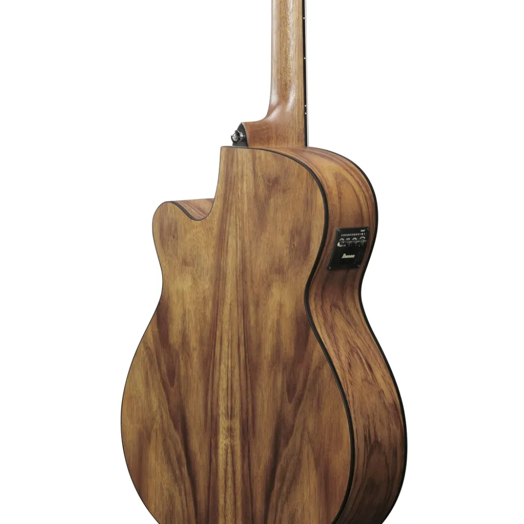 Ibanez VC40WSCE Acoustic Guitar - Open Pore Brown