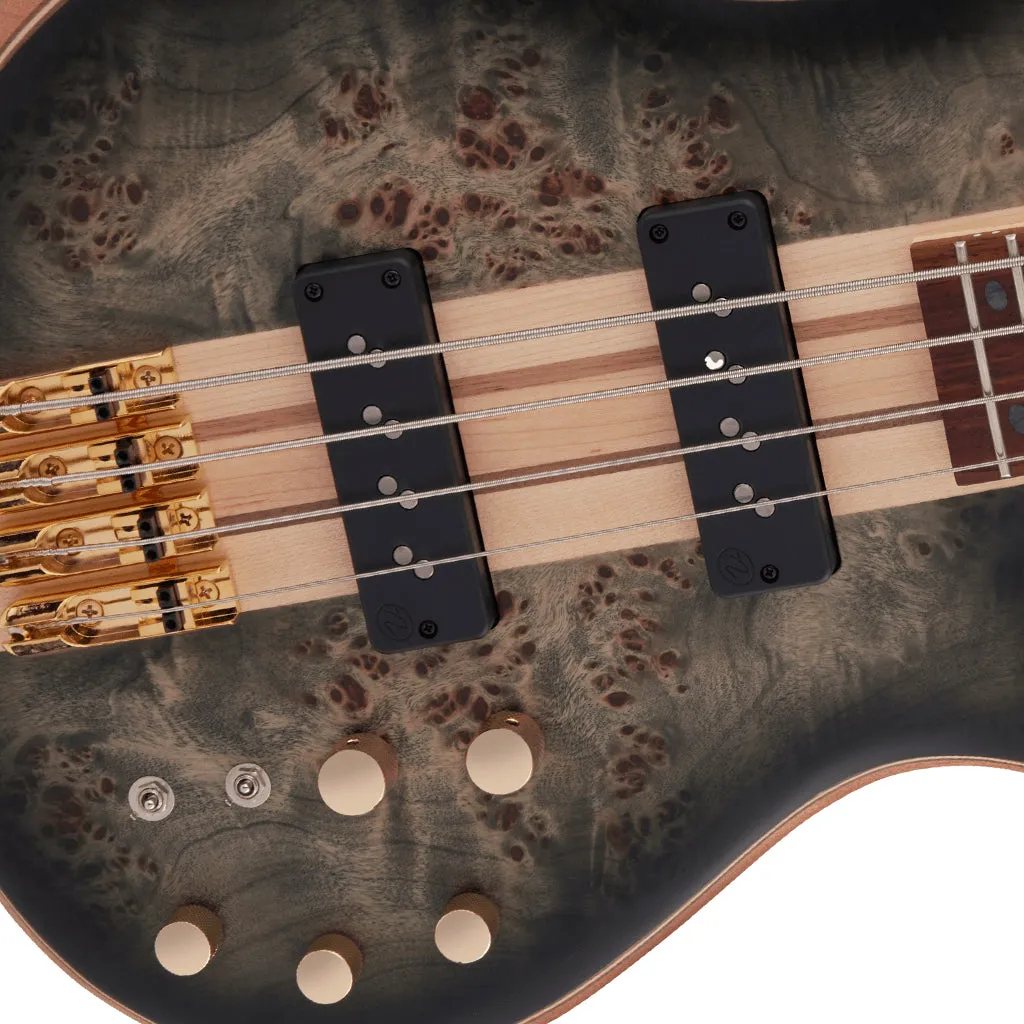 Jackson Pro Series Spectra Bass SBP IV, Caramelized Jatoba Fingerboard, Transparent Black Burst | Bass Guitars | 2919914585