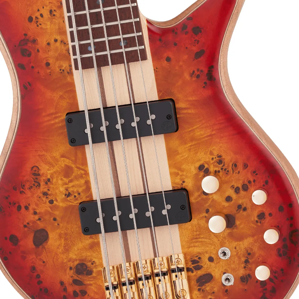 Jackson - Pro Series Spectra Bass SBP V, Caramelized Jatoba Fingerboard, Transparent Cherry Burst | Bass Guitars | 2919934515