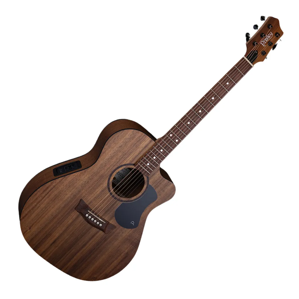 Pratley PROM-SCE-BWBW Classic OM All Solid Blackwood