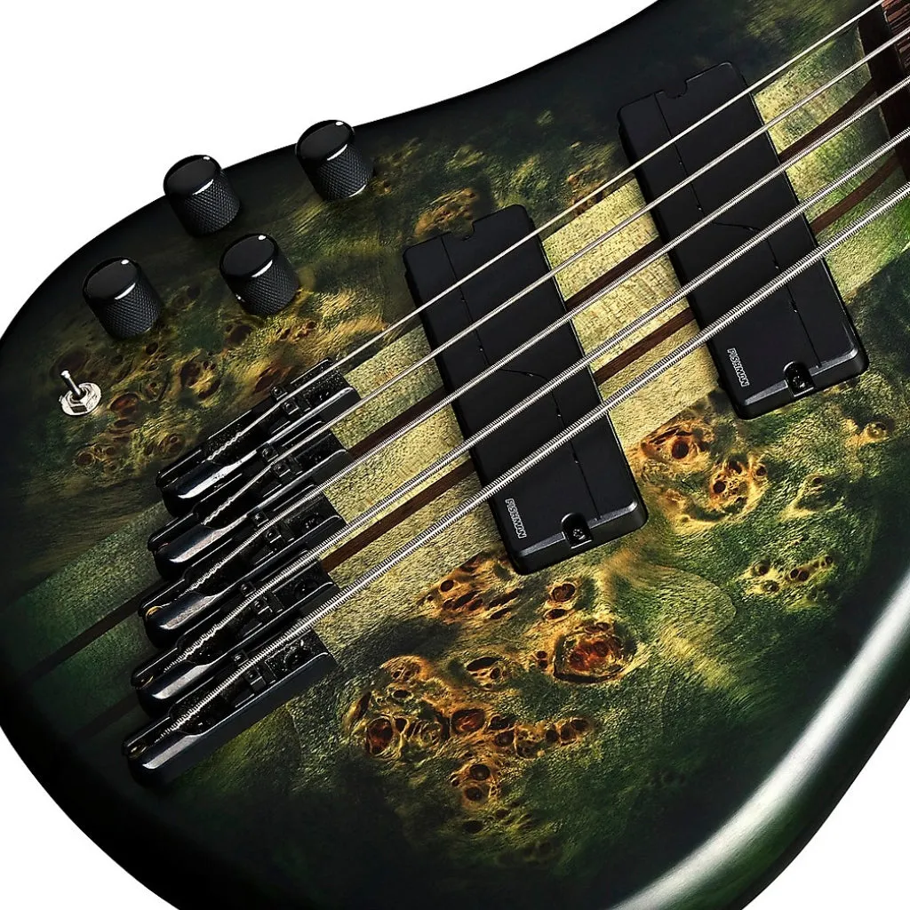 Spector Dimension 5 M/S  Left Hand Bass Guitar - Haunted Moss