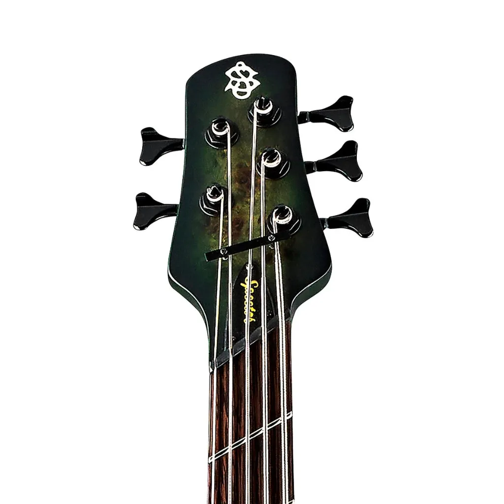 Spector Dimension 5 M/S  Left Hand Bass Guitar - Haunted Moss