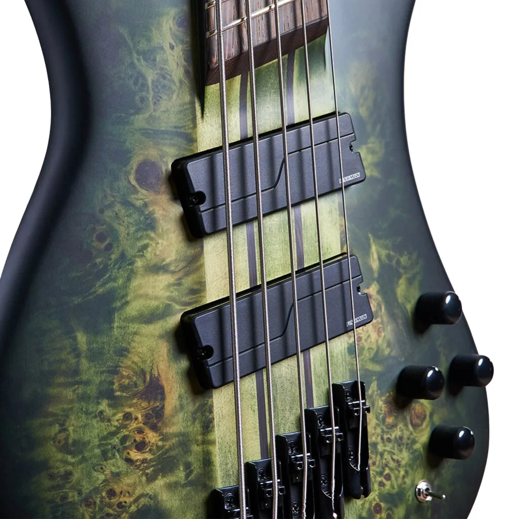 Spector Dimension Multiscale 5 String Bass - Haunted Moss