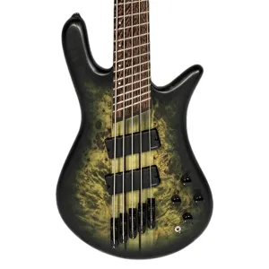 Spector Dimension Multiscale 5 String Bass - Haunted Moss