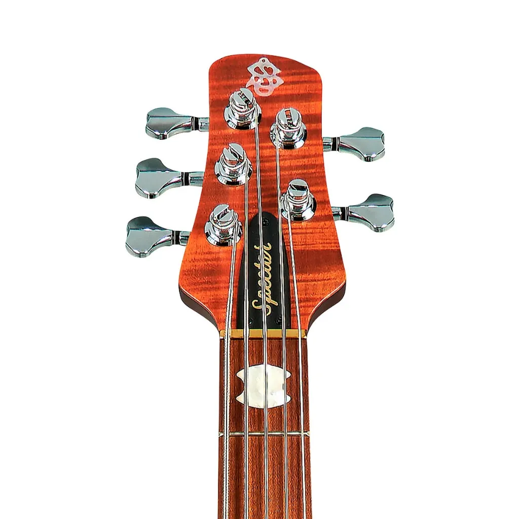 Spector Euro 5 Roasted Bass Guitar - Sienna Stain