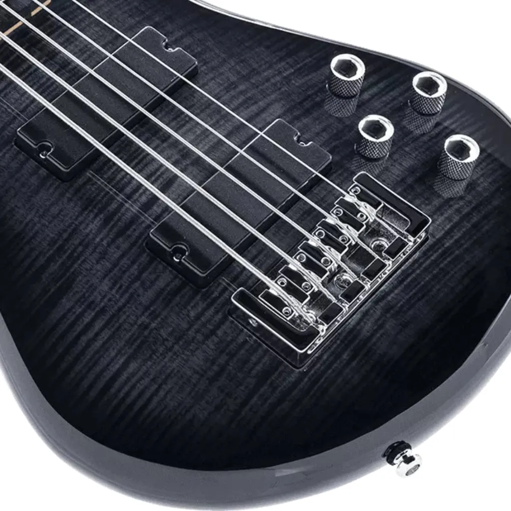 Spector Legend 4 Bass Guitar - Black Stain Gloss