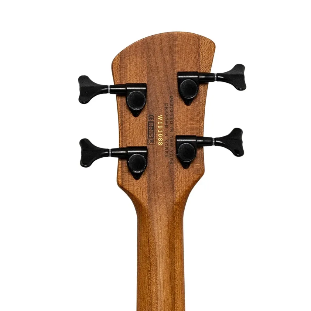 Spector Pulse 4 Bass Guitar - Black Stain Matte