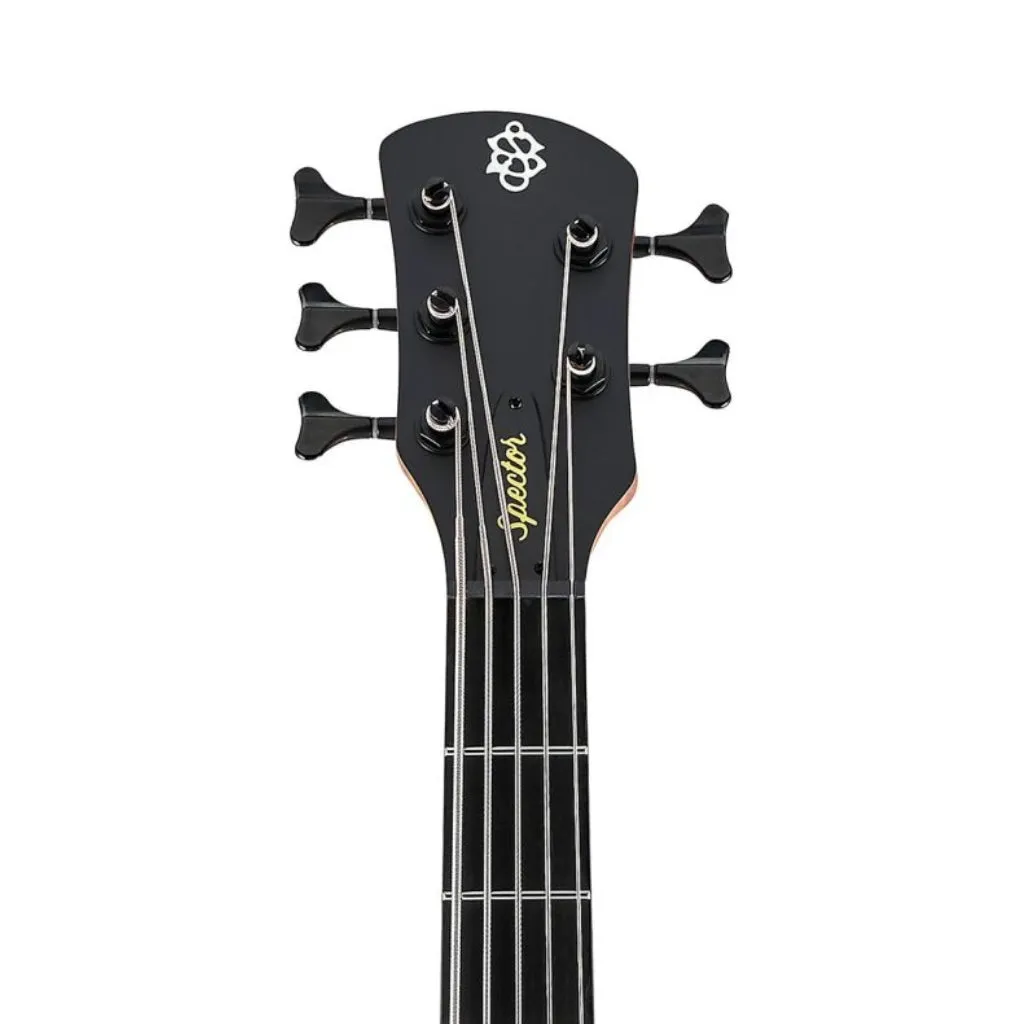 Spector Pulse 5 Bass Guitar - Black Stain Matte
