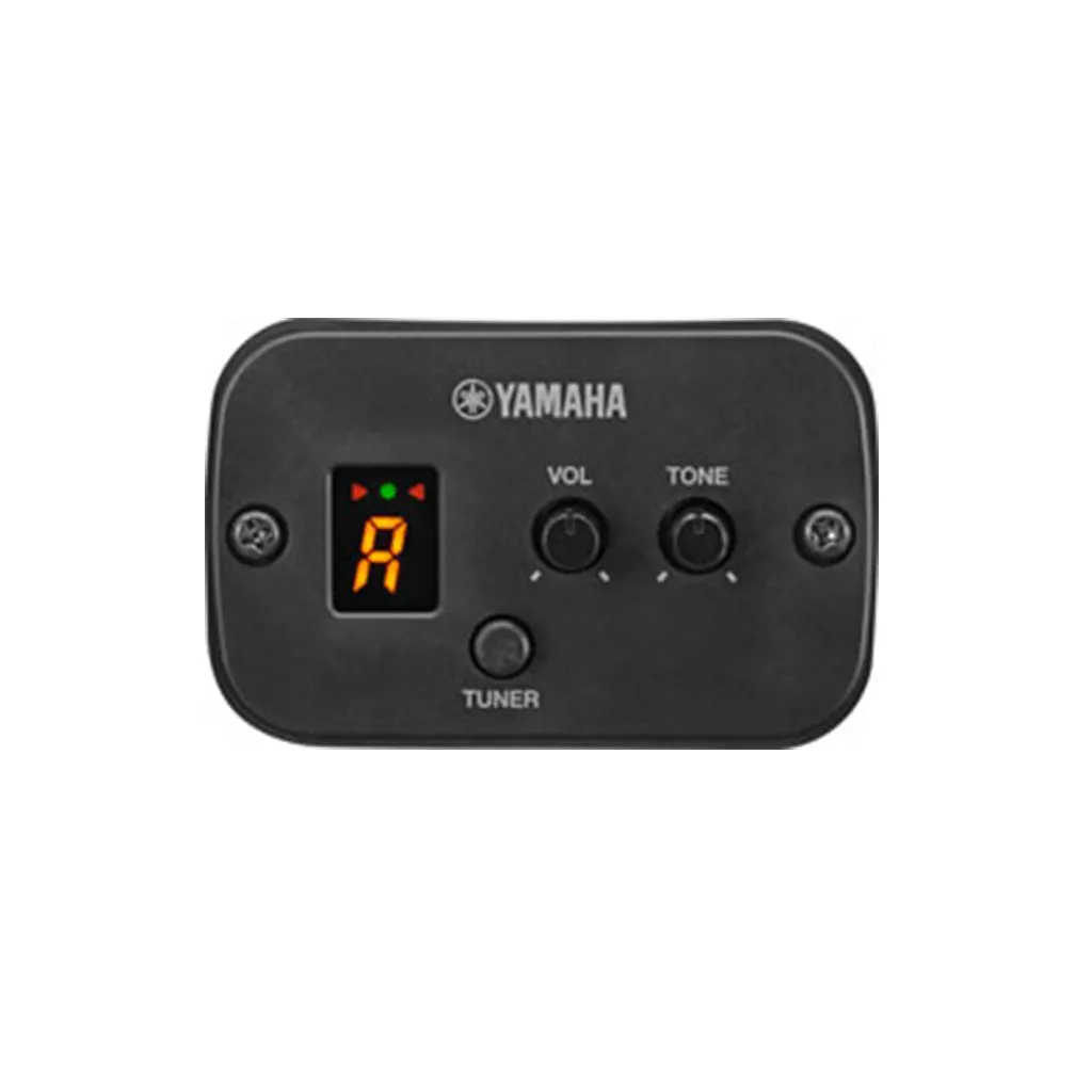 Yamaha Gigmaker 315 Acoustic Guitar Pack