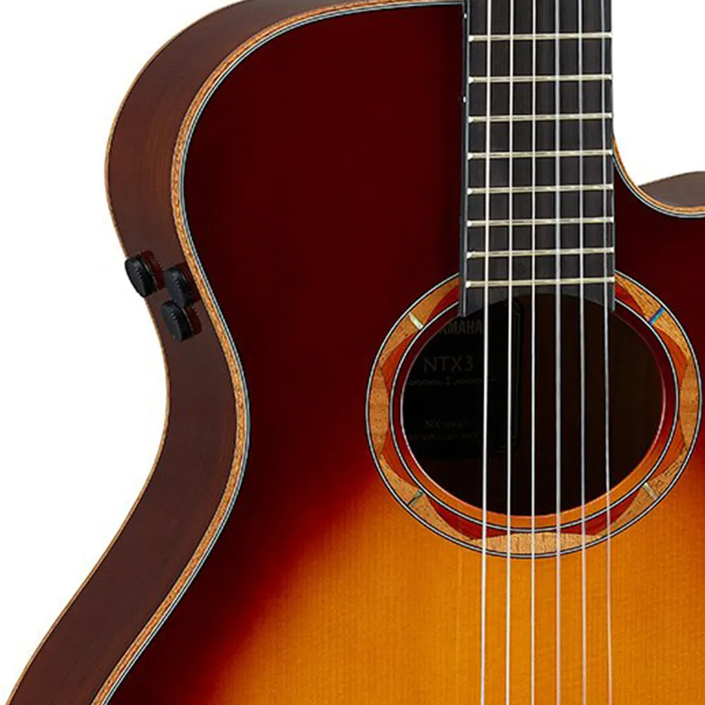 Yamaha NTX3-BS