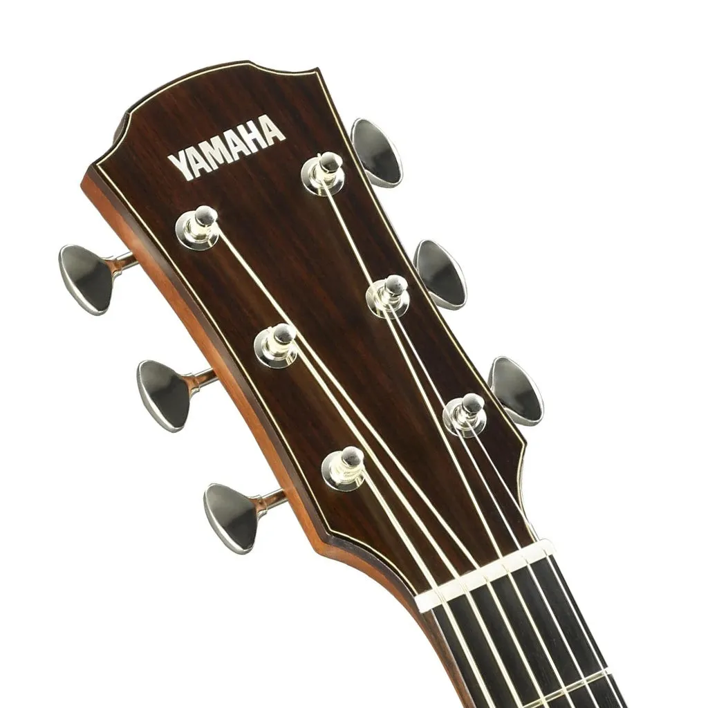 Yamaha - Yamaha AC5M